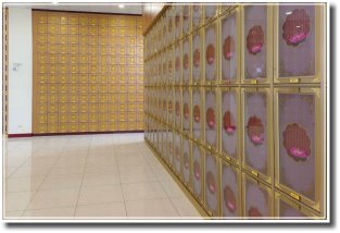 圖片：三樓骨骸櫃位